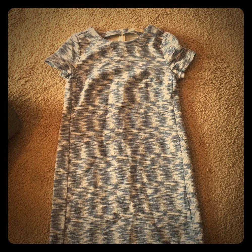 Loft dress blue and white 2P